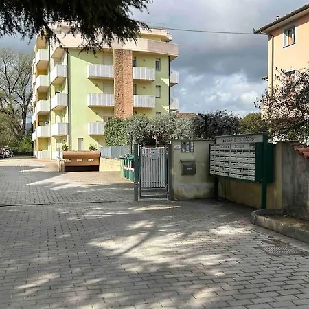 Il Cedro Lucca